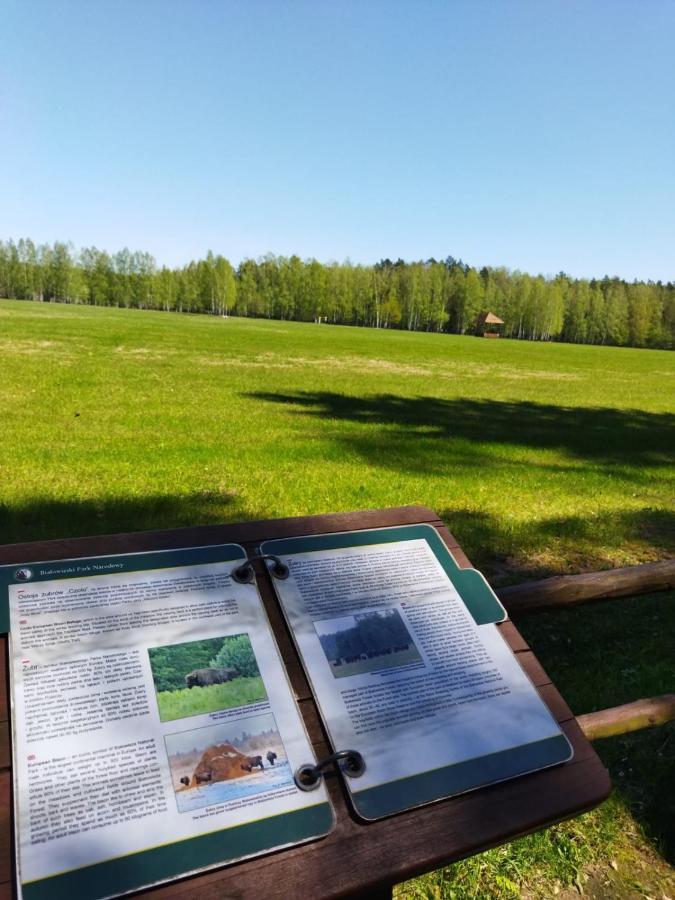 Przy Lesie Bialowieza Exterior foto